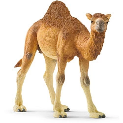 Wild Life Dromedar, Spielfigur