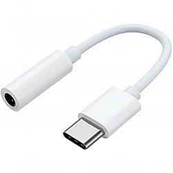 Samsung Adaptateur USB C vers prise jack - Typ C (GP-TGU023AEAWW)