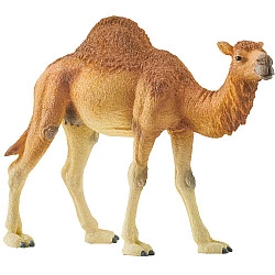 Wild Life Dromedar, Spielfigur