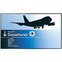 AG Neovo PD-65Q - 165 cm (65) Diagonalklasse (163.8 cm (64.5)