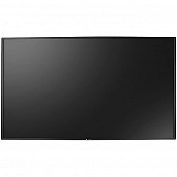 AG Neovo PD-65Q - 165 cm (65) Diagonalklasse (163.8 cm (64.5)