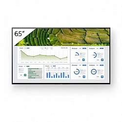 Sony Bravia Professional Displays FW-65BZ30L - 164 cm (65")
