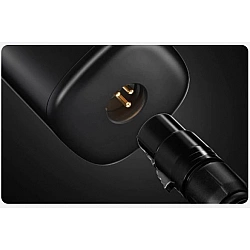 XLR microphone cable 300 cm black - Cables - Audio-Multimedia