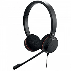 Turime | Evolve 20 Duo, MS | ITwork sandėlyje!